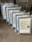 Nuwave Oxypure Genuine Replacement Hepa/carbon Combo Filter. Fixed Price $175.00.