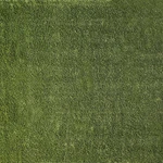 Ackland AKLTP6X8-38MM81OZ-SM Sample Only Of Lushscape. Fixed Price $18.88.