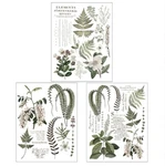 Greenery Grace Rub-on Transfer 3 Sheets 8.5 X12 Redesign Prima Fern, Floral. Fixed Price $15.99.